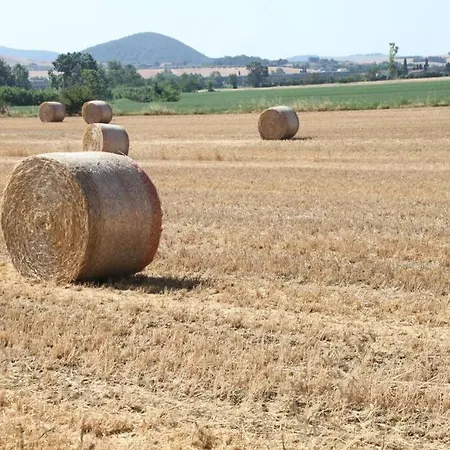 Il Nido Di Giulia * Casa Sant'Andrea